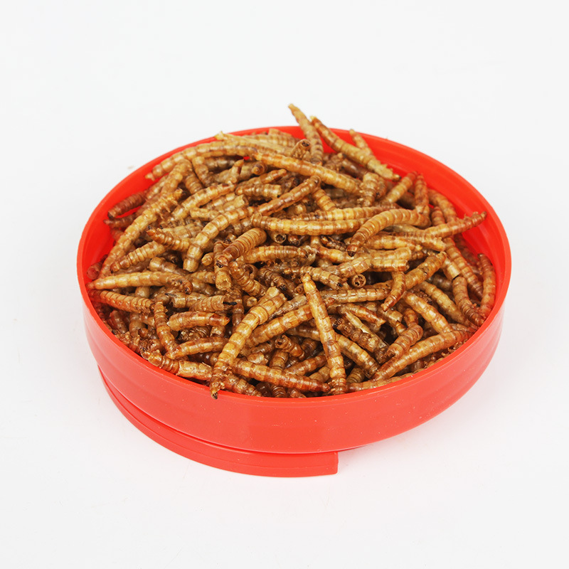 SW マルチペット昆虫トリーツ - ハムスター、ミナ鳥、ハリ - Krill Oil Supplement のレビューと価格