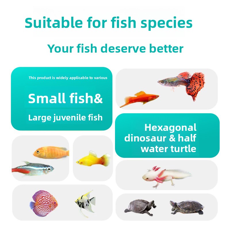 東宇江 フリーズドライミミズ、熱帯魚、アホロートル、金魚、グ - Krill Oil Supplement のレビューと価格